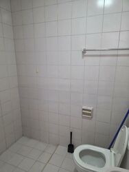 Seletar Hills Estate (D28), Semi-Detached #483998911